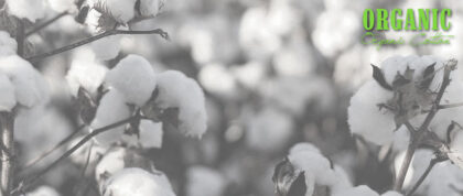 Bio-Baumwolle (organic cotton)